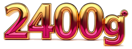 2400g
